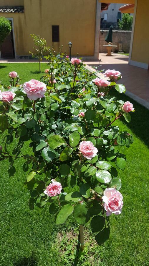 Le Rose Di Modica Villa Exteriör bild